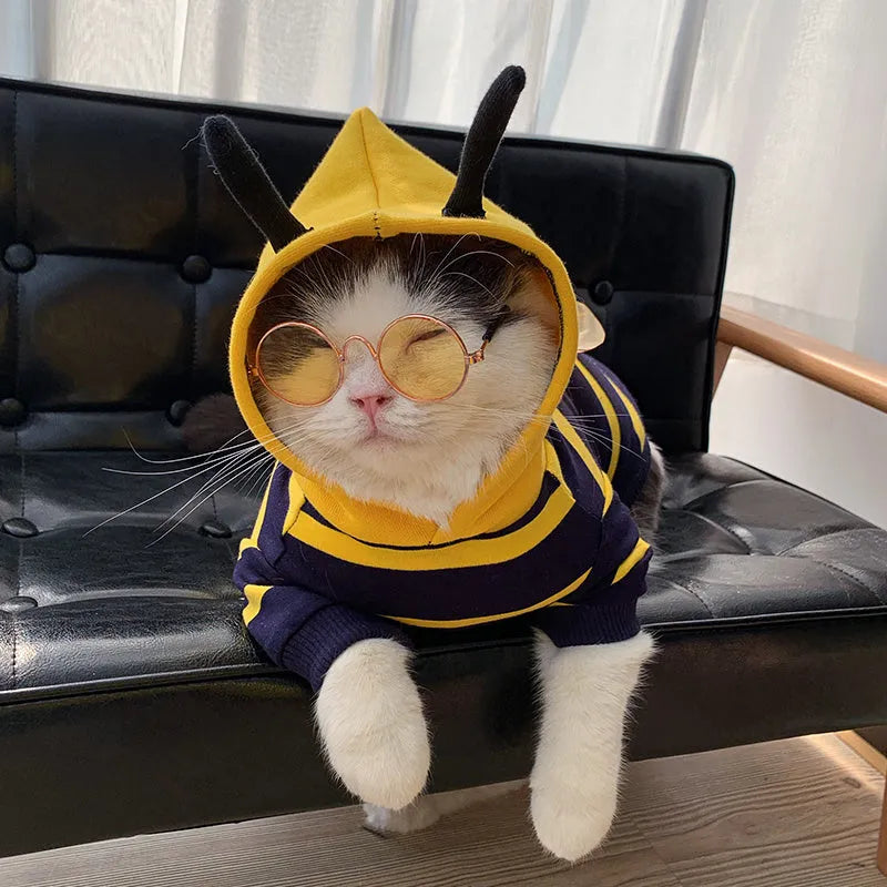 Yellow striped bee costume hoodie for bulldog pet winter jacket made of cotton plush material