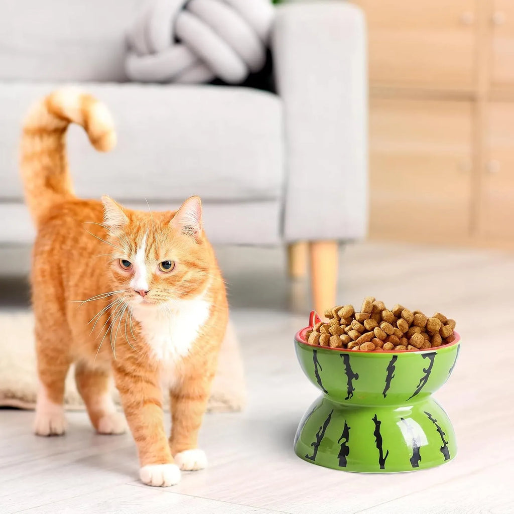 Ceramic raised cat bowl with tilted design in orange colour, showing slip-resistant base and elevated feeding height
