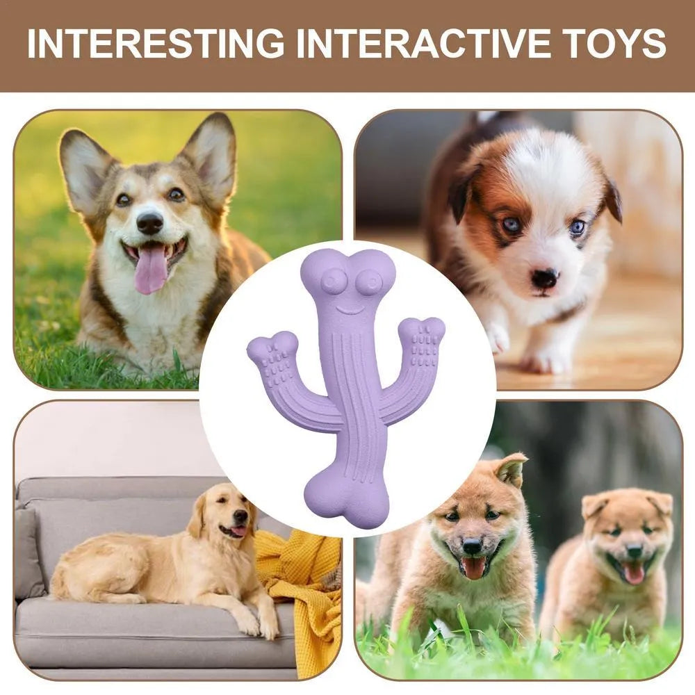 Cactus-shaped dog chew toy in bamboo fibre and rubber showing textured surface and cactus silhouette