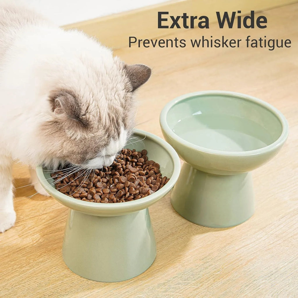 Extra wide ceramic elevated cat food bowl set in blue colour with shallow design