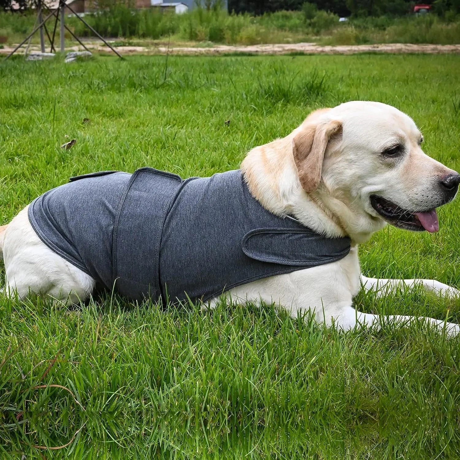 Classic dog anxiety jacket breathable thunder vest in grey for dogs, sizes XS to XXXL