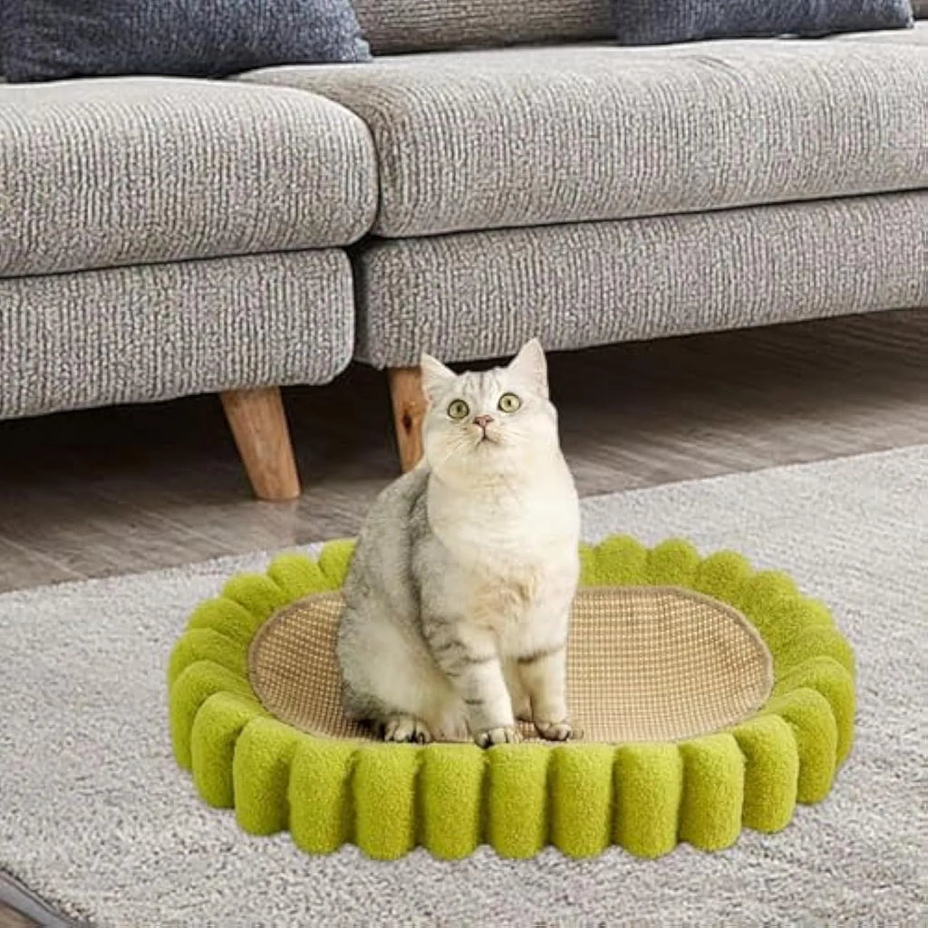 Green oval cat scratch pad bowl made of sisal measuring 650mm x 420mm