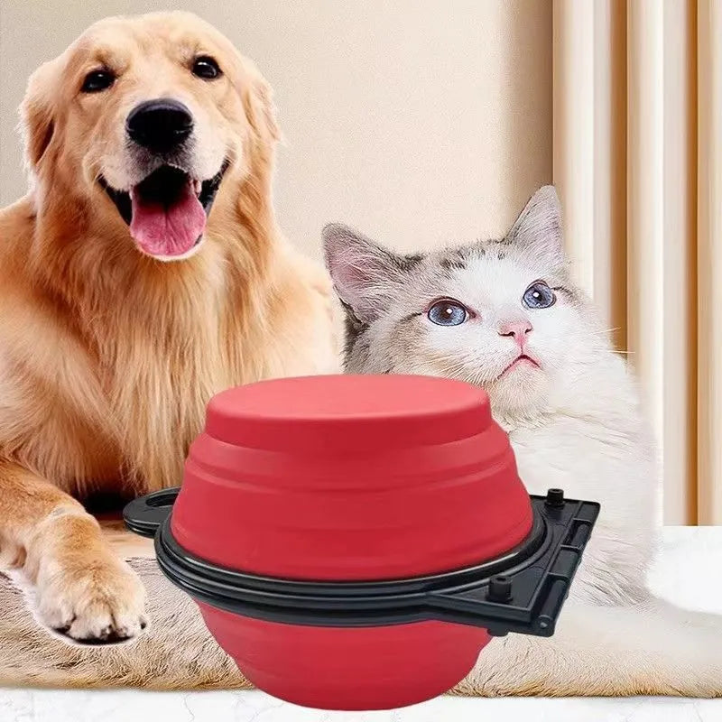 Blue silicone folding pet bowl showing two compartments for food and water in unfolded position