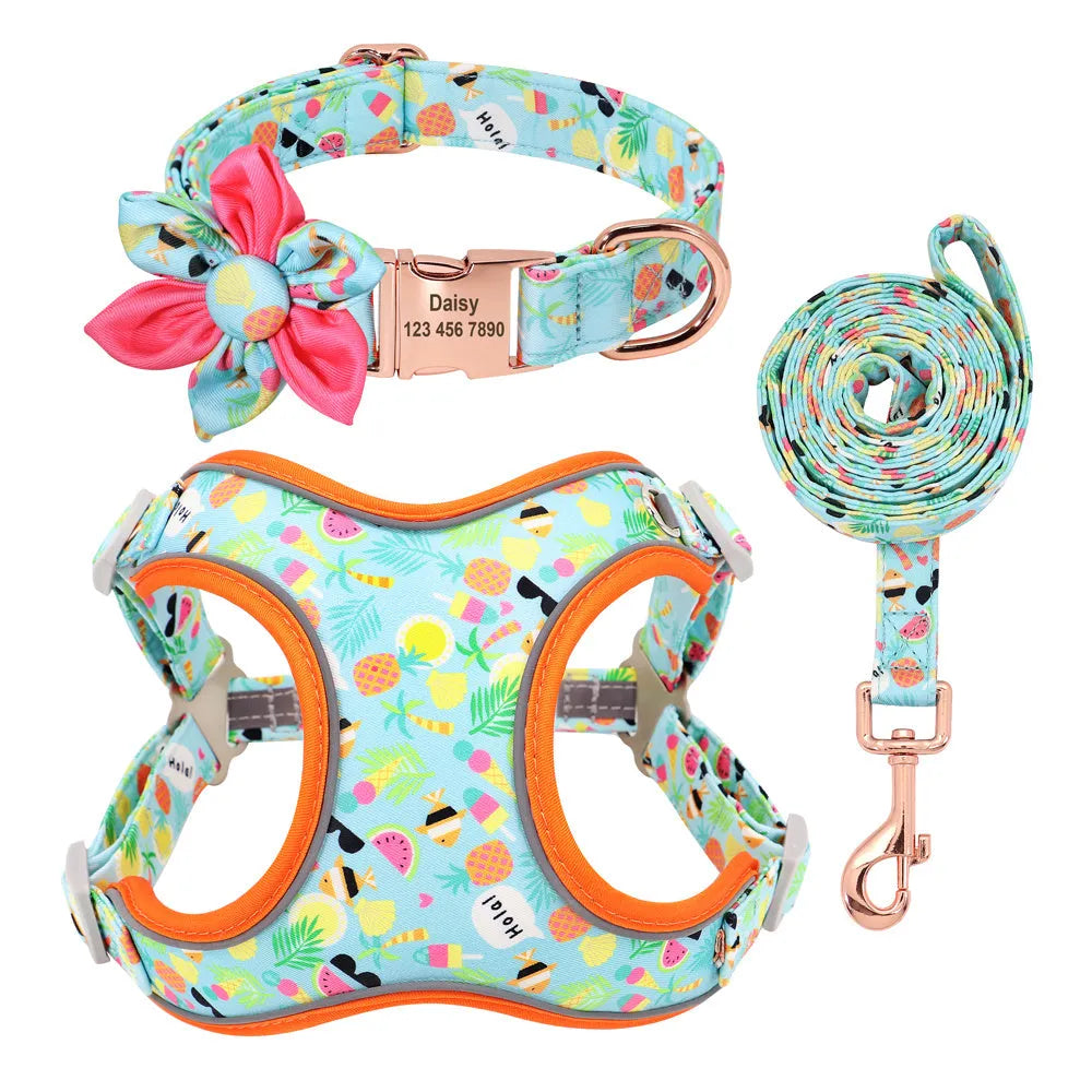 Small dog collar and lead set in polyester with collar, tow rope and strap, adjustable, blue green red yellow, sizes S M L