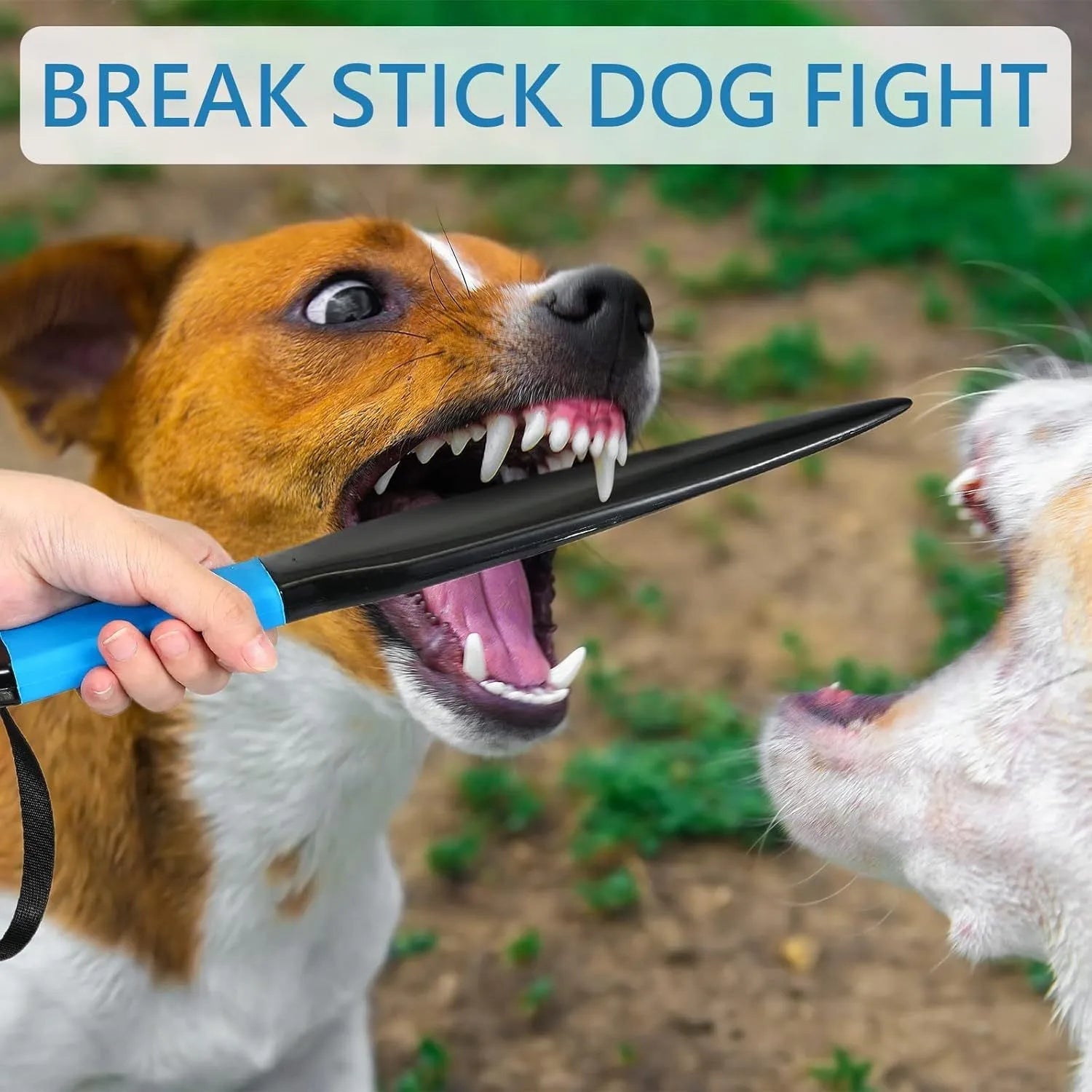 35cm long nylon dog break stick with blue handle for training small medium dogs