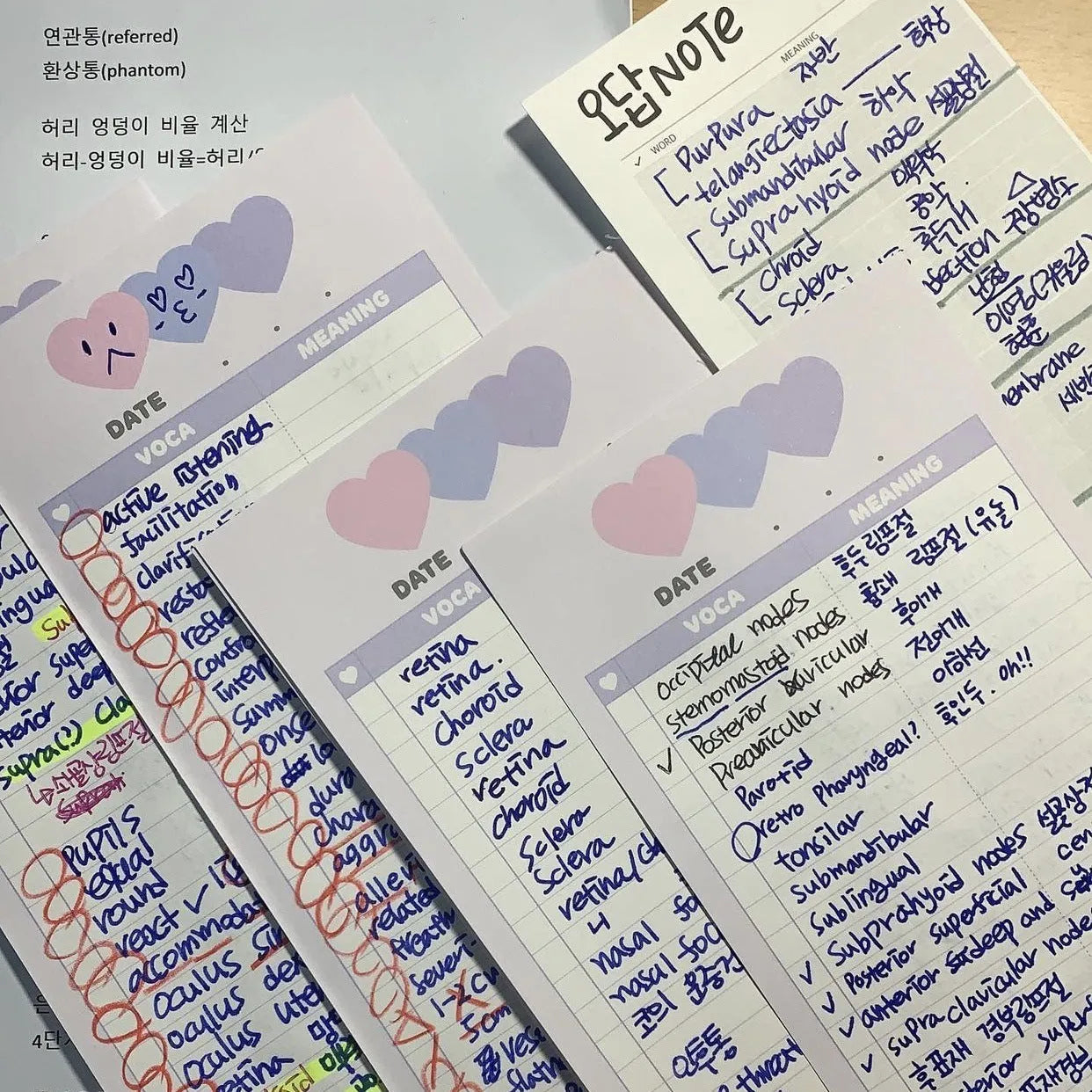 Vertical English learning notepad with double-sided printing in half-B5 size with coloured cover