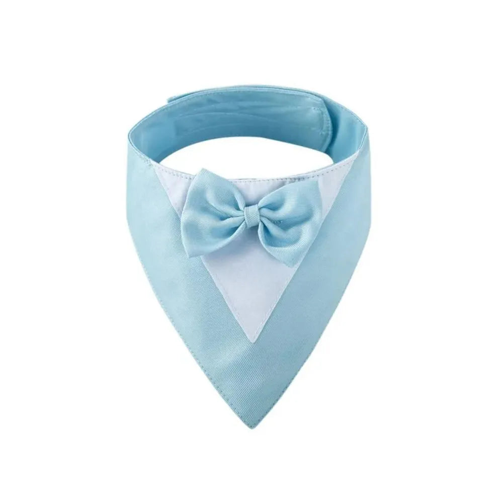 Pet triangle bib bow collar scarf on dog with adjustable velcro fastening