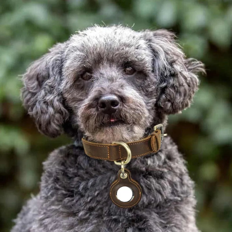Brown handmade double-sided cowhide dog collar showing halter positioning and tracking features