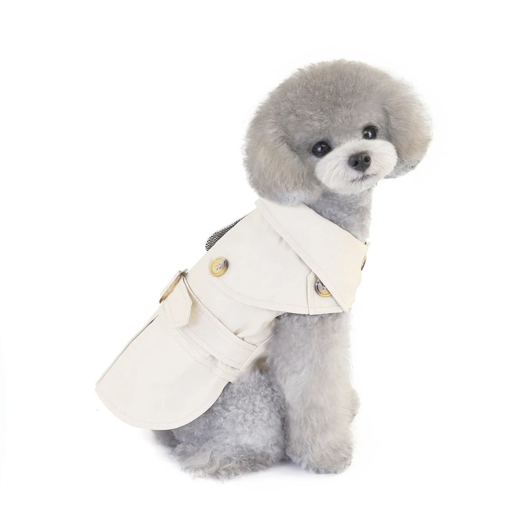 Three-colour windbreaker dog coat for small dogs in blue, green, or khaki, sizes S to XXL.