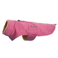 Grey polyester dog vest for medium large breeds on a dog, showing casual style and fit.