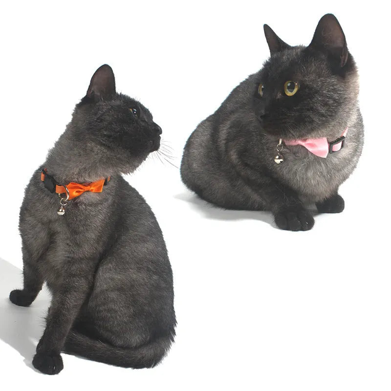 Adjustable nylon cat collar with decorative bow and bell in striped pattern multiple colours