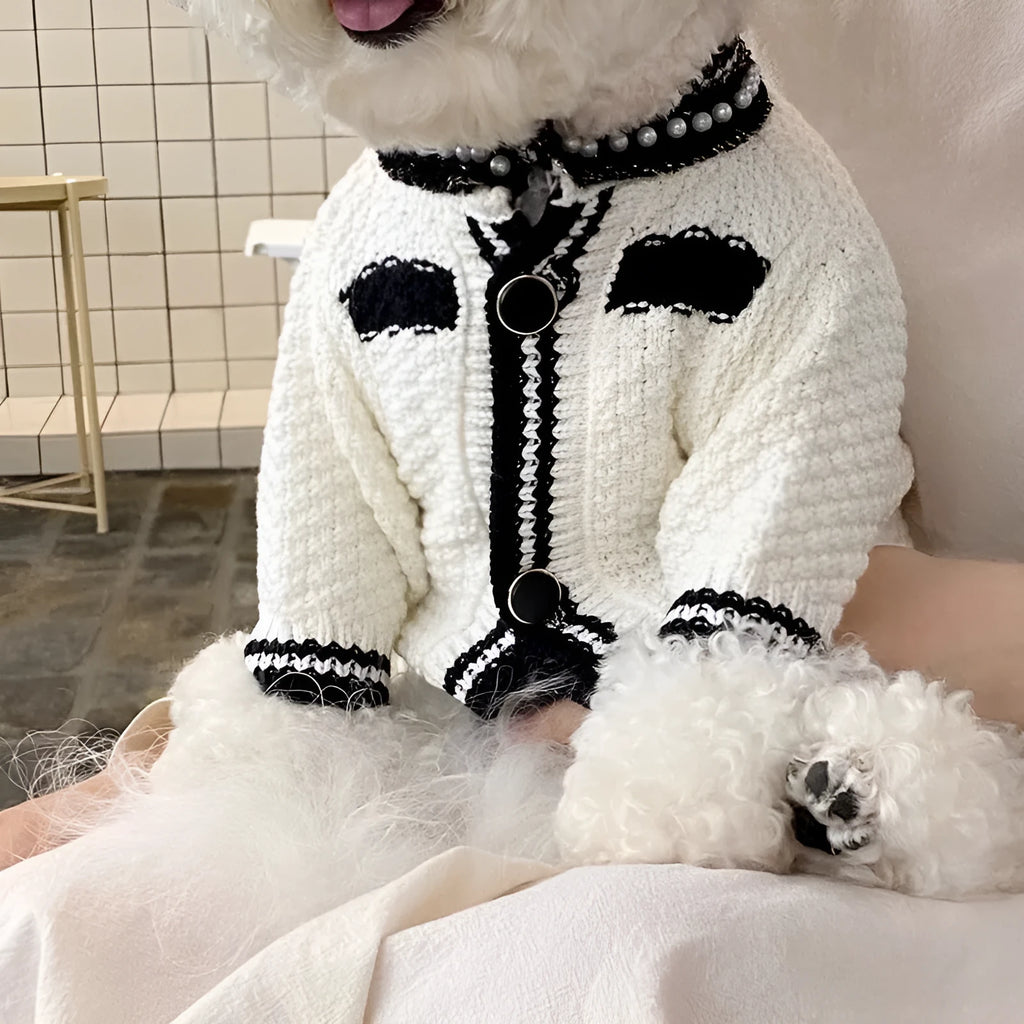 Korean style white dog sweater with pearl collar on small breed dog, princess cut design
