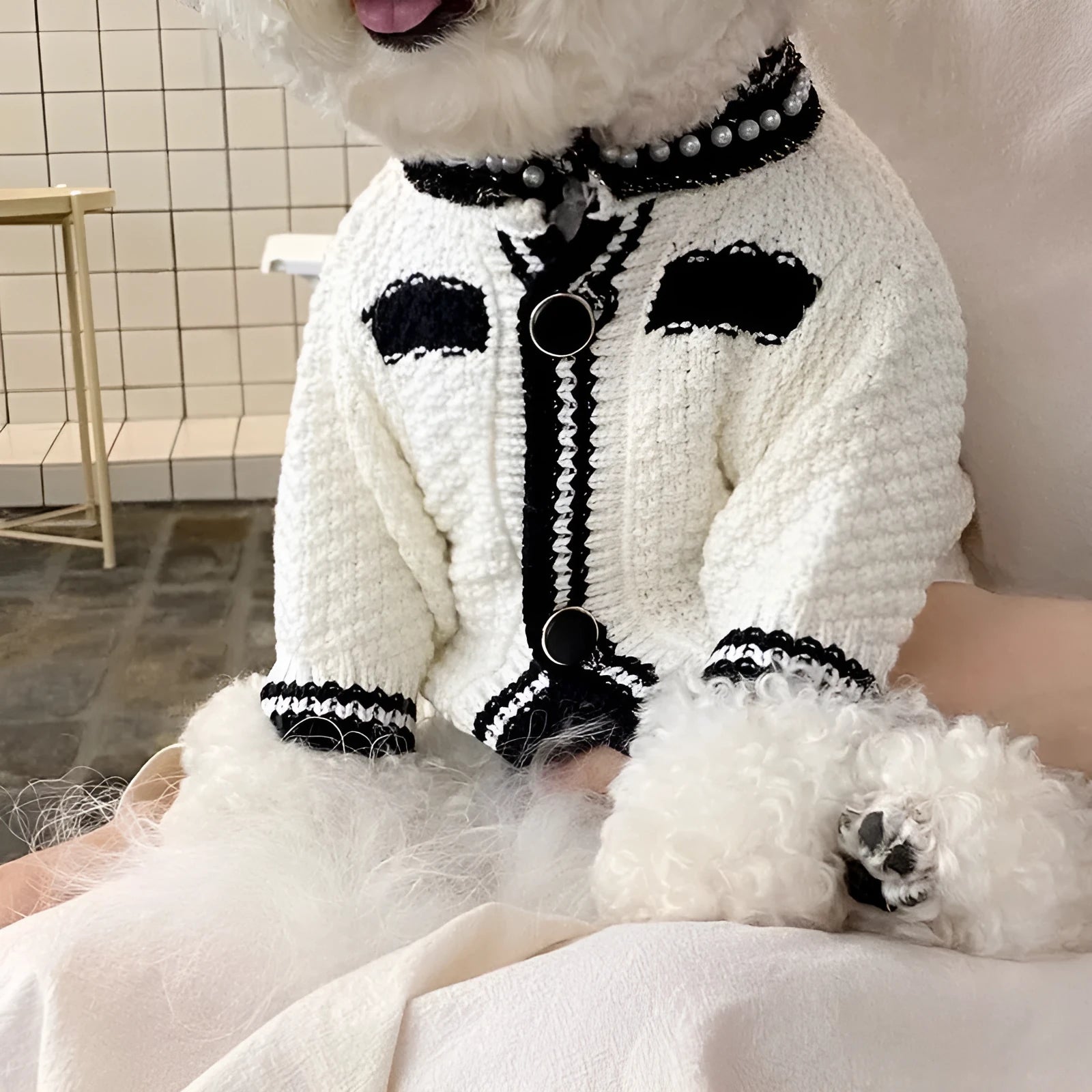 Korean style white dog sweater with pearl collar on small breed dog, princess cut design