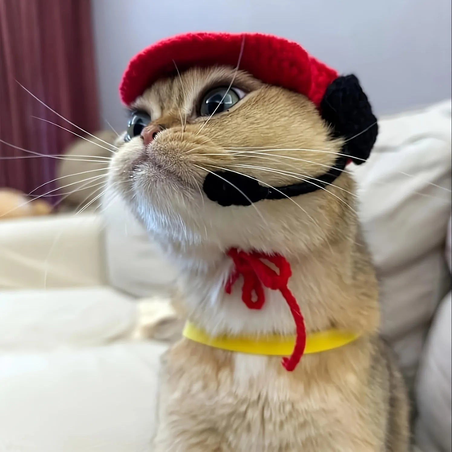 Handmade white chef hat with red trim and matching cotton knitted sweater for small to medium cats and dogs