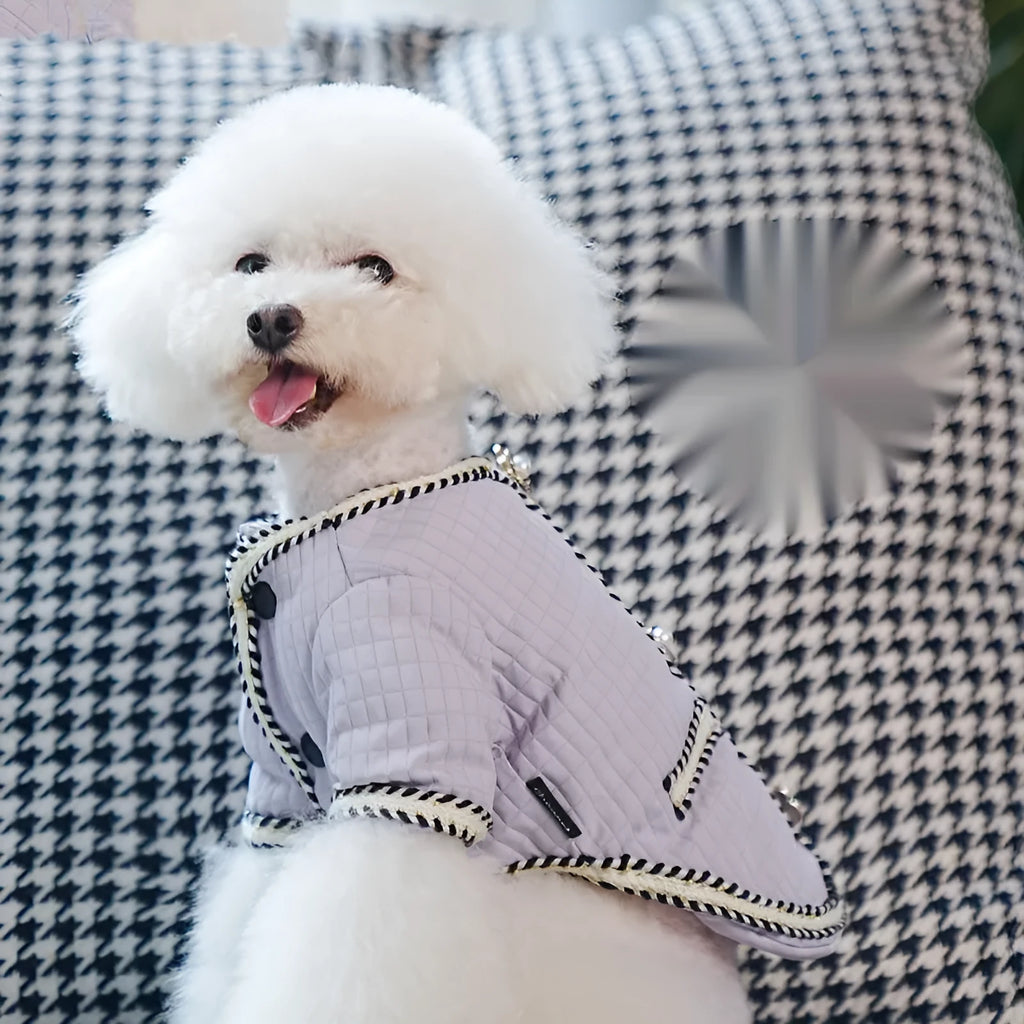 Dog wearing quilted polyester coat in cartoon style design available in three colours