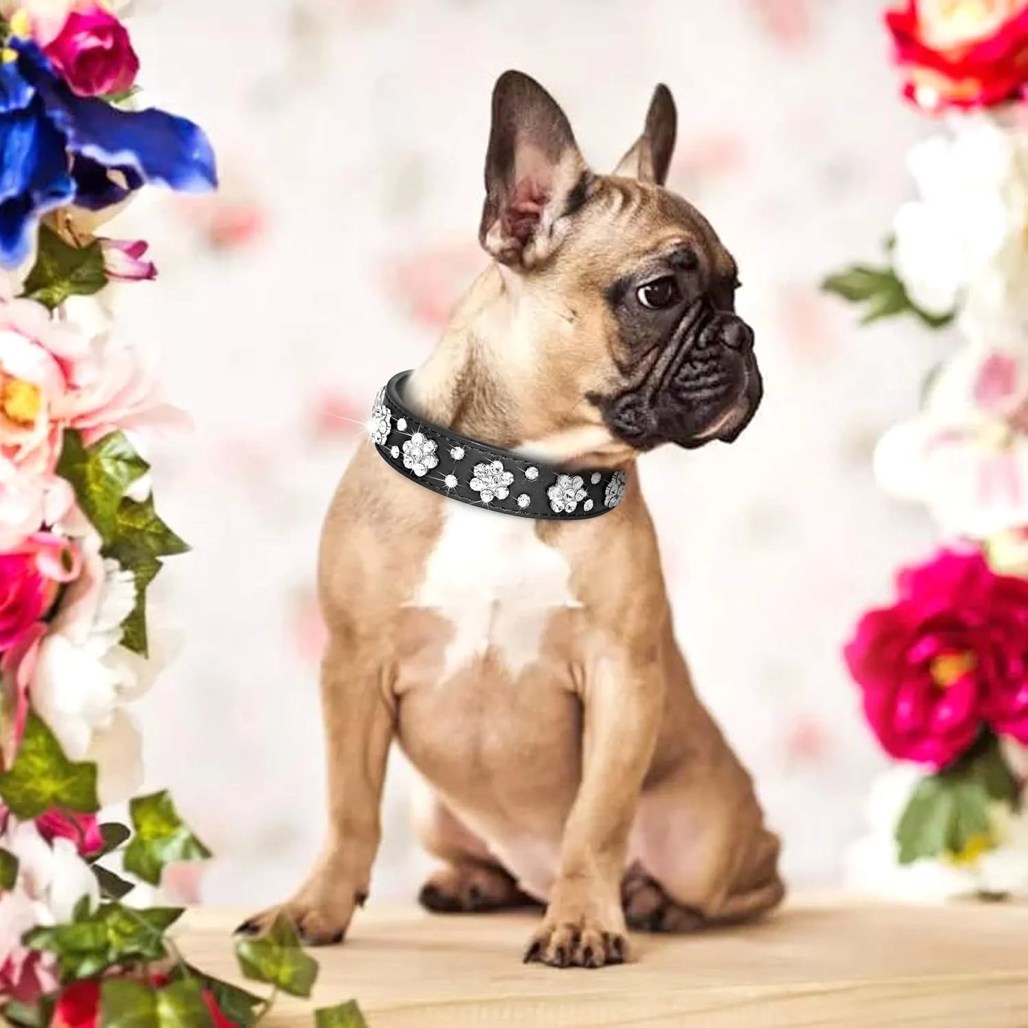 PU leather dog collar with studded rhinestone flower pattern in colour, showing metal D-ring and adjustable eyelets.