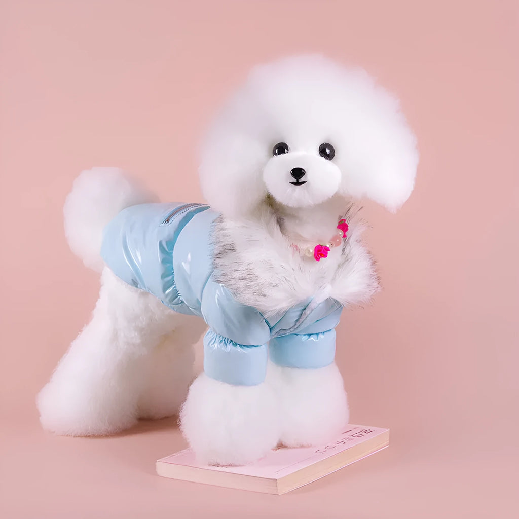 Blue, red, and pink British style cotton down jacket for dogs on a winter background.