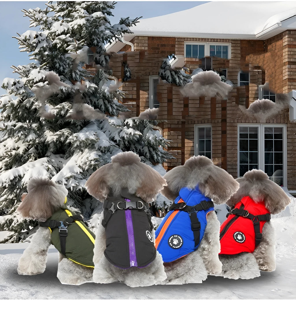 Chest strap dog winter coat in blue colour with cotton-padded insulation and secure fastening