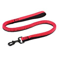 Green elastic dog training leash with metal clip for medium and large breeds
