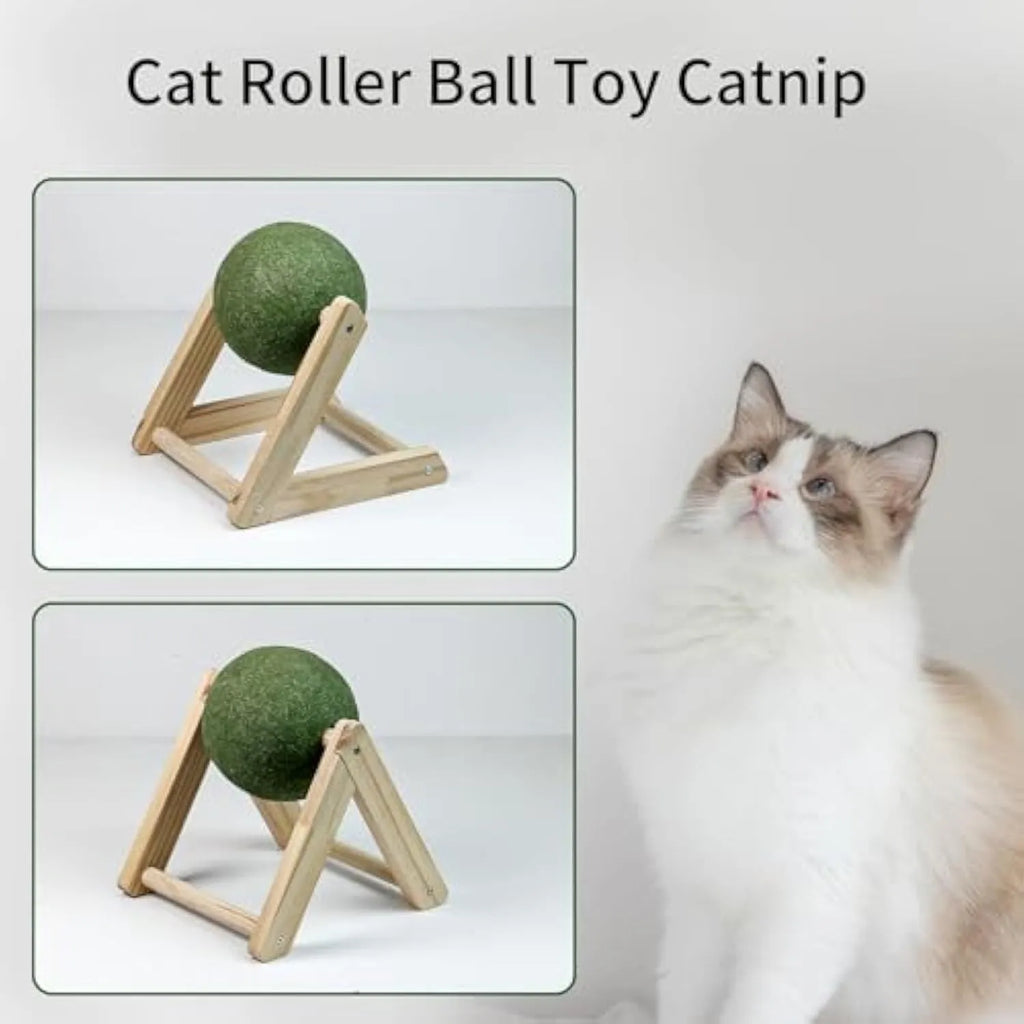 Giant green catnip ball with wooden holder for indoor cats, available in sizes L and S
