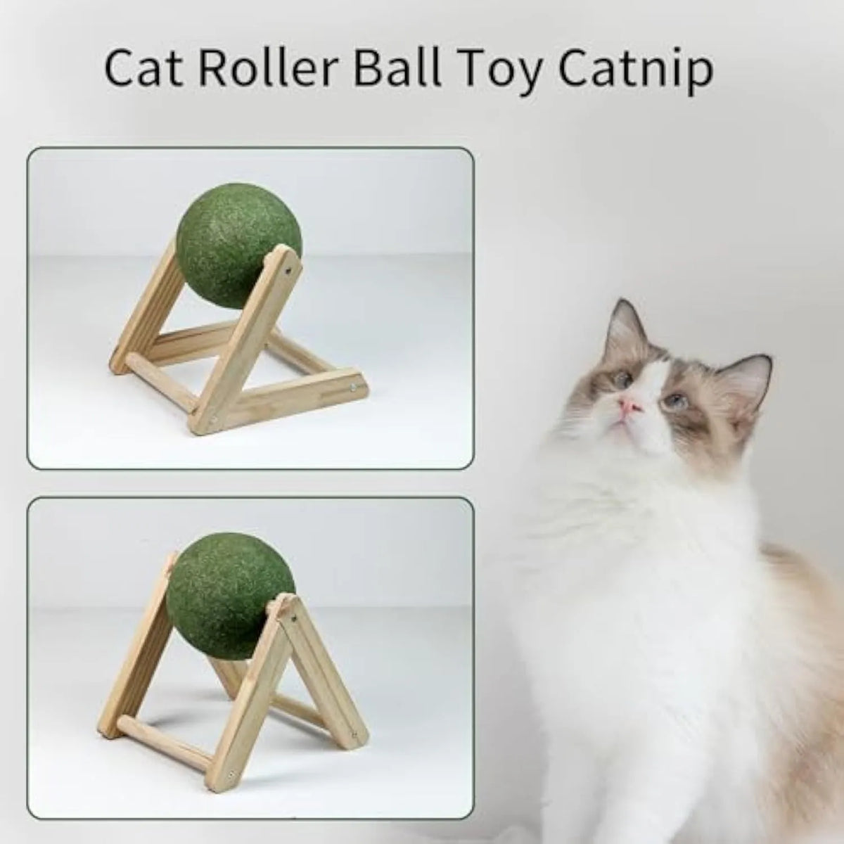 Giant green catnip ball with wooden holder for indoor cats, available in sizes L and S