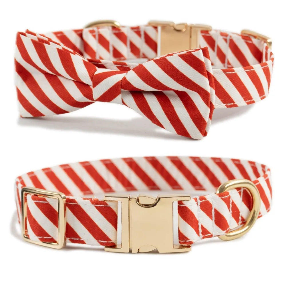 Personalised striped dog collar with anti-lost lettering in candy green colour with bow knot attachment