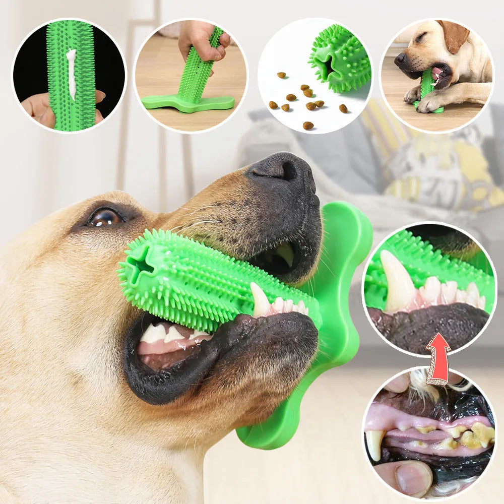Green TPR dog chew toy with suction cup base and molar rod for teeth cleaning and tartar prevention