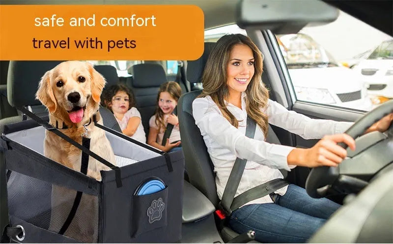 Collapsible oxford cloth dog crate in black, shown with dimensions 49cm wide by 49cm deep by 38cm tall