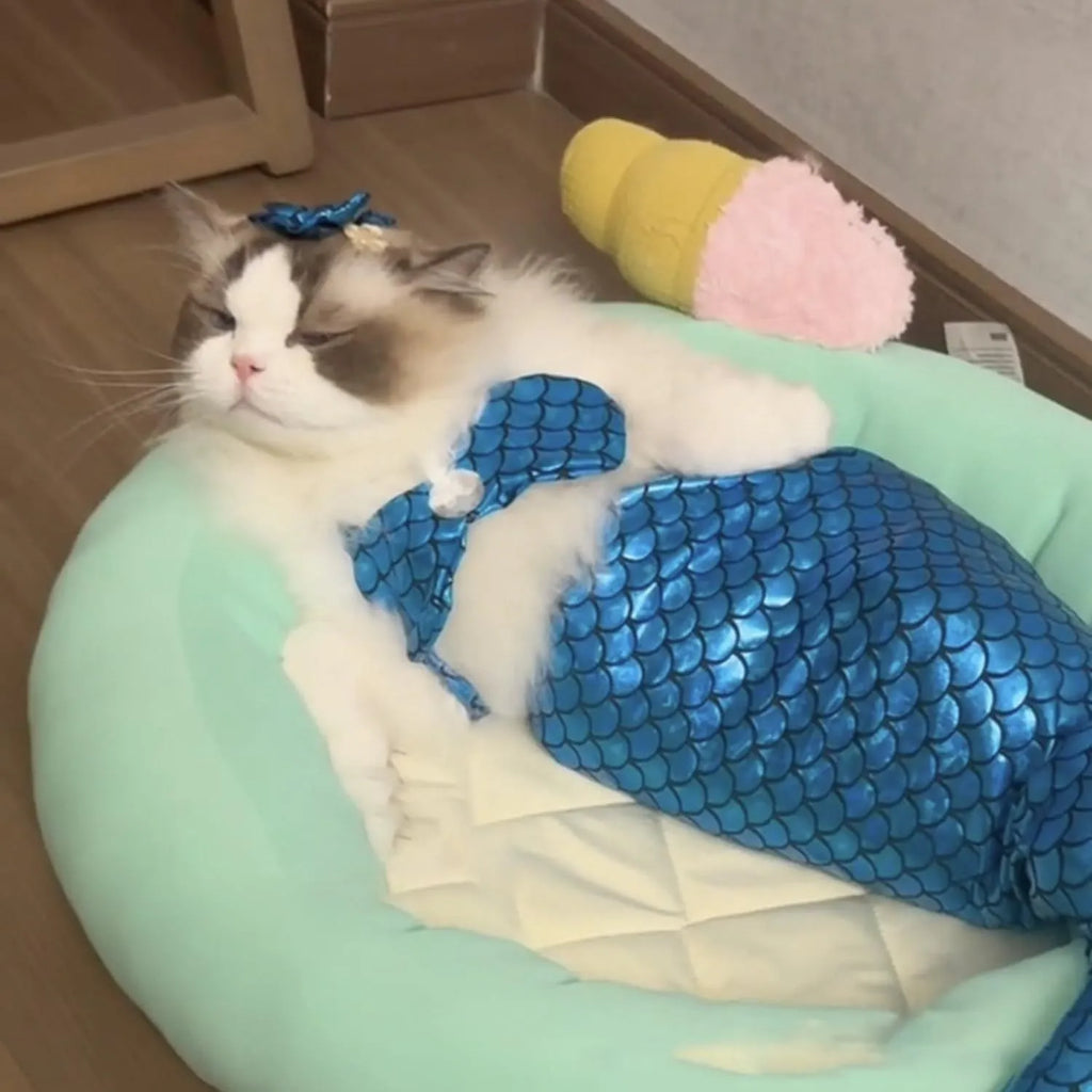 Blue pet mermaid costume with scale pattern and fish tail on a small cat.