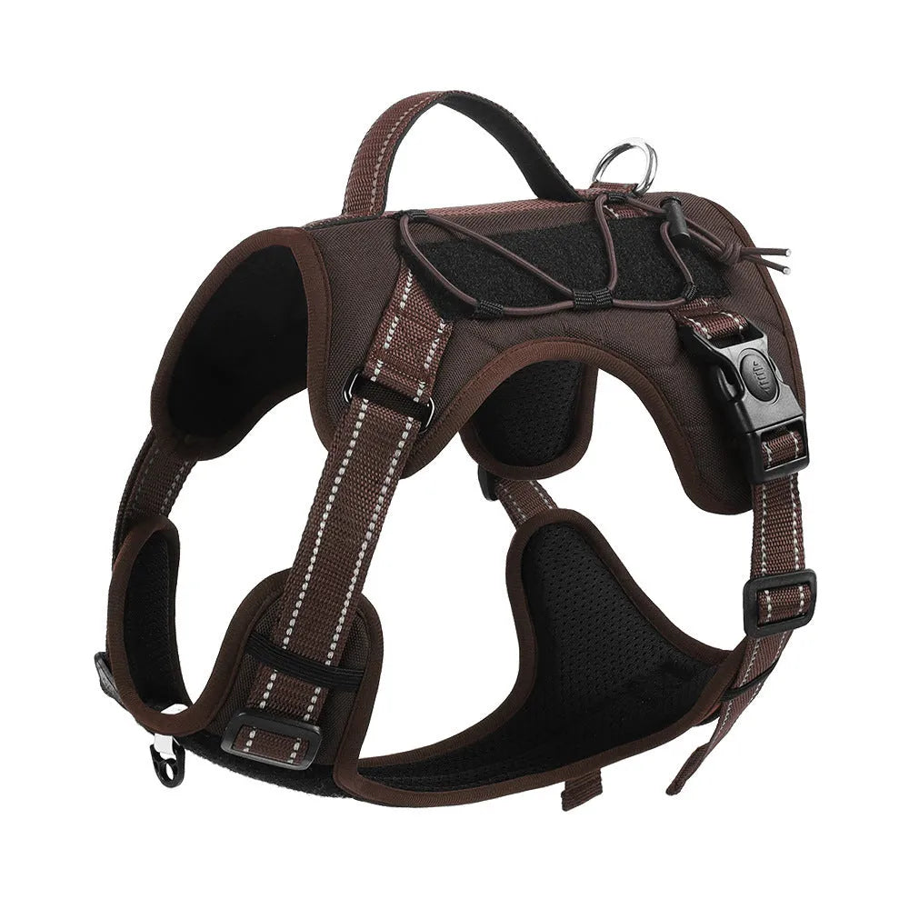 Orange reflective dog vest harness with a black hand-holding rope, shown on a medium-sized dog.