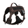 Orange reflective dog vest harness with a black hand-holding rope, shown on a medium-sized dog.