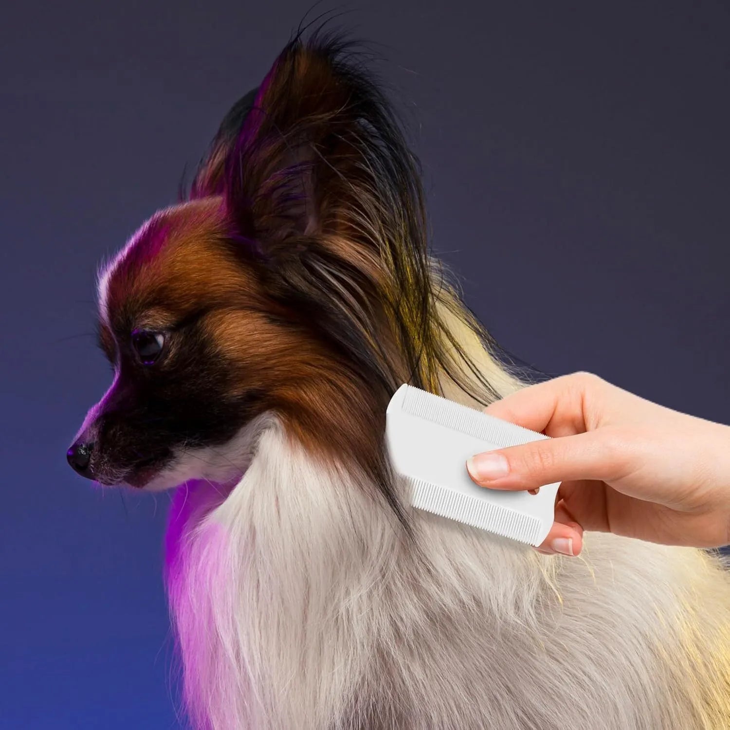 Double-sided plastic flea comb and a small separate face comb for pet grooming.