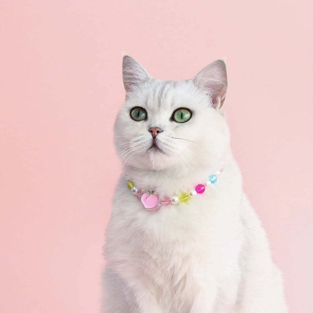 Colourful plastic bead pet necklace for a cat, showing rainbow, peach, and small flower pattern options.